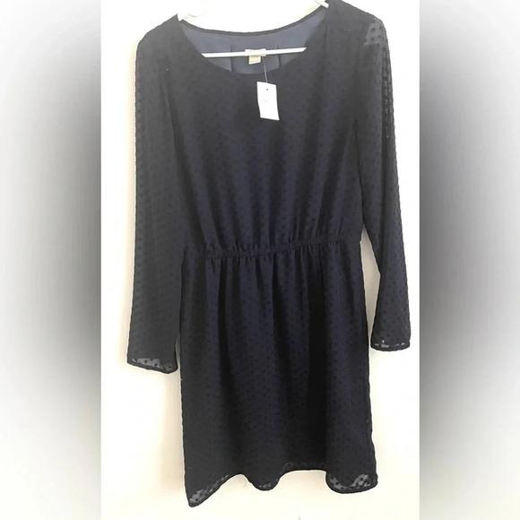 J. Crew Swiss Dot A-Line Long Sleeves Navy Dress- Size 6 - Picture 2 of 6